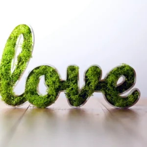 Love végétal pour mur ou porte